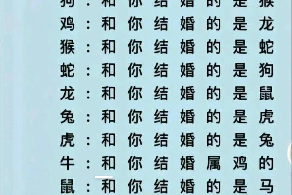 蛇马配对大揭秘：揭秘神秘组合的缘分