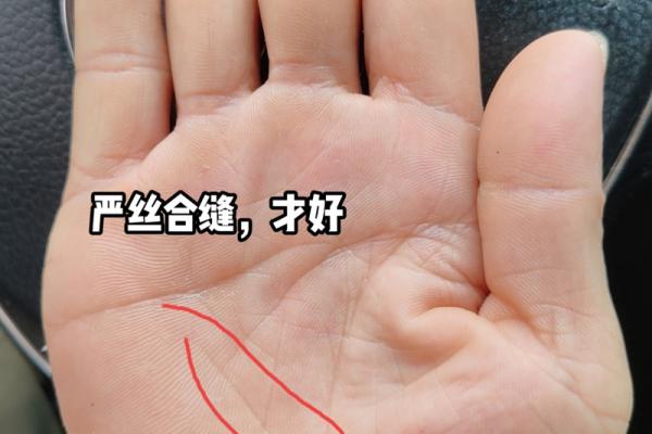 手相与健康：从手纹看出潜在的疾病迹象