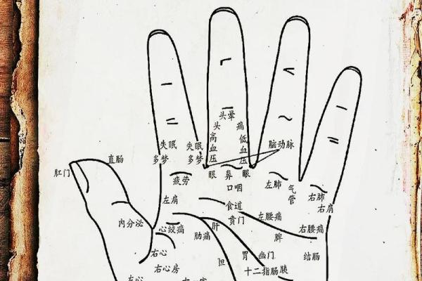 手相与健康：从手纹看出潜在的疾病迹象