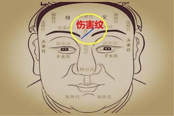 王烁面相揭秘：揭秘明星面相密码，你也能读懂命运
