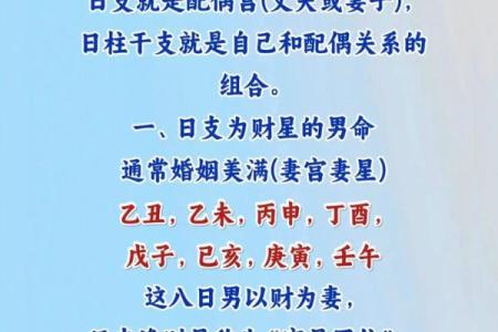 了解“是贵命”在不同文化中的解读与应用