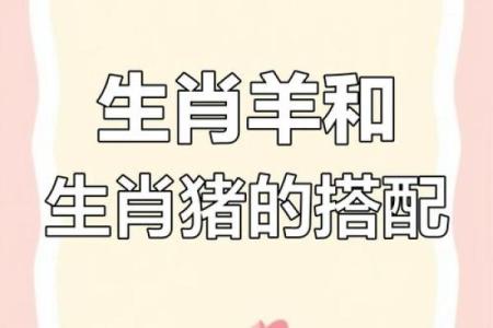 生肖龙猪大揭秘：究竟是不是绝配？火爆热议