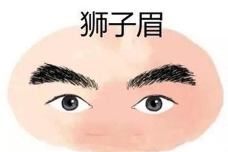 眉疤面相揭秘：命运转折的神秘印记，你了解多少？