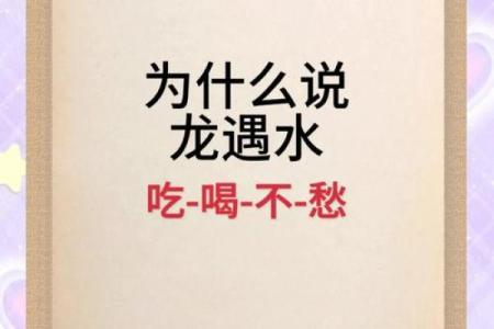 属龙起名字秘籍，掌握五行与八字的完美平衡