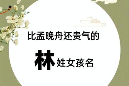 林姓宝宝取名趋势：如何挑选最时尚的名字