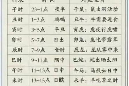 一键排盘，免费八字软件带你洞察人生轨迹