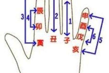 掌中天干，揭示命运走向的关键