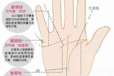 掌握命运之手：揭秘能成就伟人的手相秘密