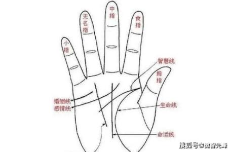 手相揭秘：一招看透你的过去与未来