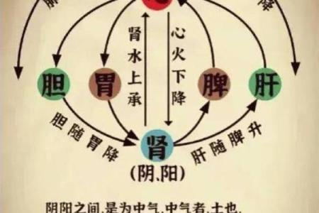 让五脏强健，五行调理术带你走向健康之路