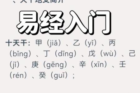 华盖在八字中的深层含义，你知道多少？