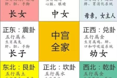 董字五行属性揭秘