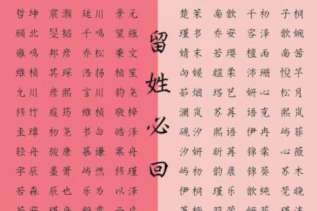 通过起名打分网，找到与命运契合的名字
