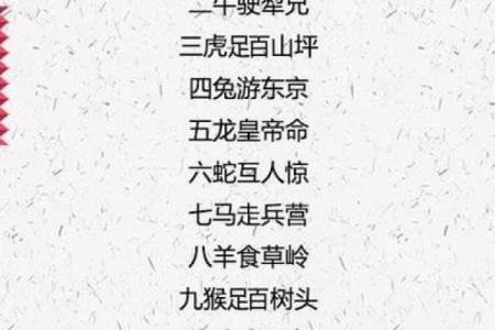 生肖谜语：探寻十二生肖中的神秘谜题