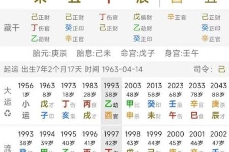 从四个丁看八字命理：你的命运由火主宰吗？
