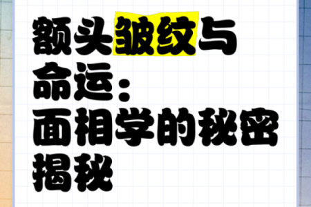 解码面相：揭秘头部轮廓背后的命运之谜