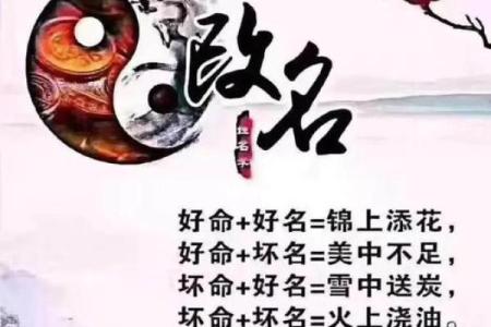 佛滔命理姓名解析，改变命运从名字开始