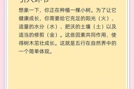 北方在五行中属什么？揭秘五行中的北方秘密