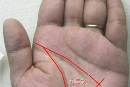 掌握命运脉搏，名牌大学录取秘籍：揭秘考名校者的神秘手相