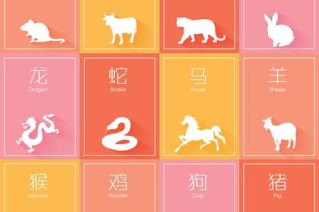 生肖揭秘：你的面相藏有哪些生肖秘密？