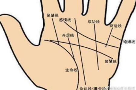 面相东风耳：揭秘财运亨通的秘密面相特征