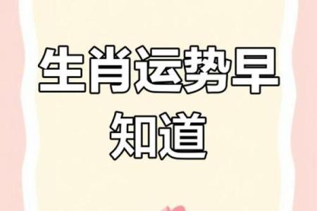 生肖运势大揭秘：81期生肖运势独家解析