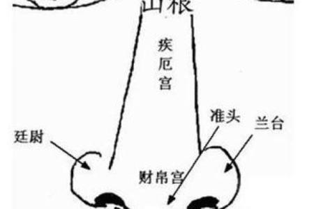 脚心凹陷财运旺，揭秘面相中的财富密码