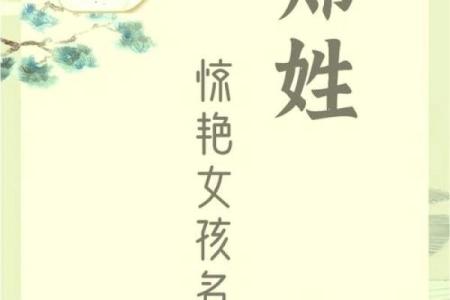 如何根据五行八字为郑姓男孩起名