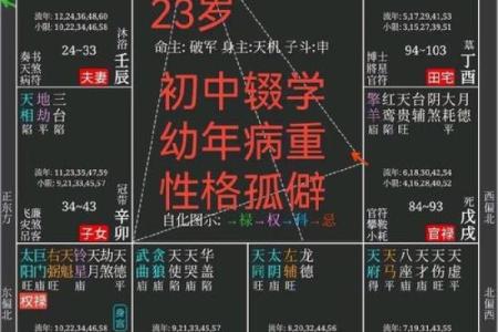 紫微算命排盘详解，揭开未来的神秘面纱