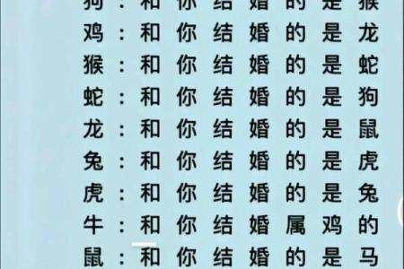 蛇马配对大揭秘：揭秘神秘组合的缘分