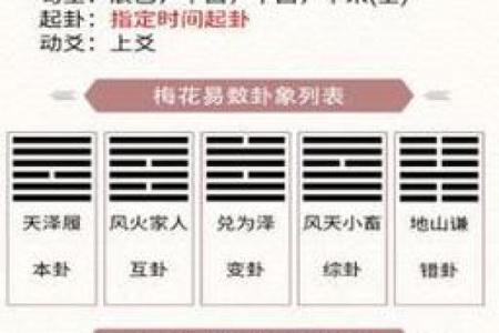 揭秘梅花易数手机排盘软件：最强占卜工具，你值得拥有