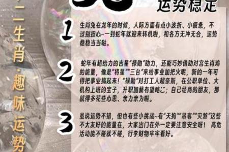 兔年月出生是什么命？揭秘生肖兔月生的命运之谜