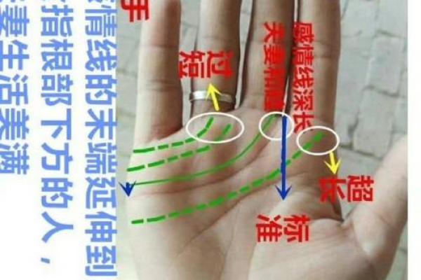 揭秘断掌手相：太阳线预示的惊人命运