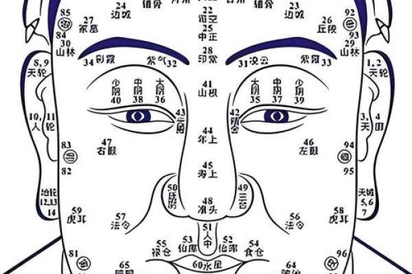 运势逆袭！大运命理排盘助你精准预测人生轨迹
