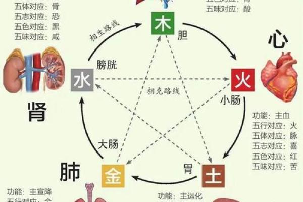 解密天干相克：为何它如此重要