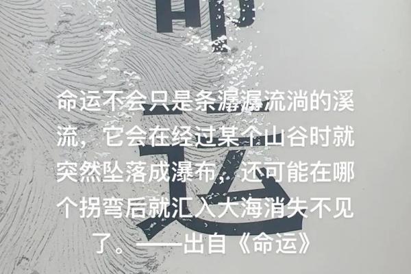 起名高分不容错过，命运从名字开始
