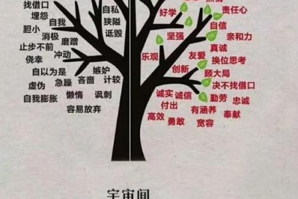 探索华五行：提升个人能量的终极法则