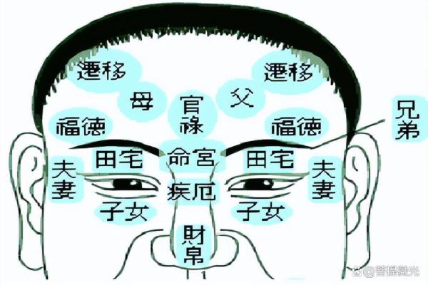 脑门有包，财运亨通：揭秘面相中的财运密码