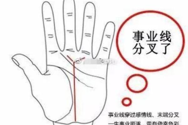 手相揭秘：事业线横纹暗示命运起伏，财运亨通