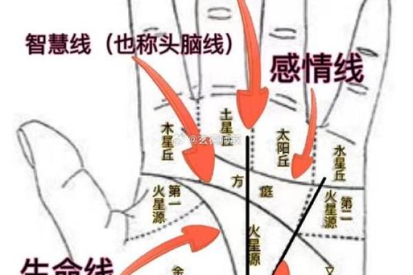 手相揭秘：事业线横纹暗示命运起伏，财运亨通