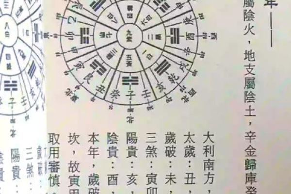 流年运势解码：面相洞察，揭秘你的人生转折点