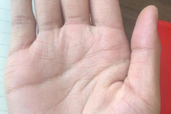 揭秘手相之谜：感情线长且分叉，暗示着怎样的爱情命运？