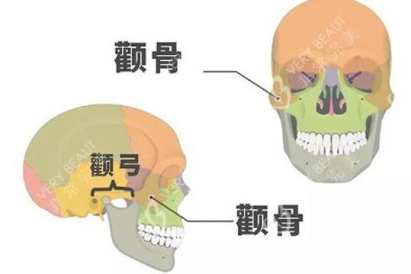 颧骨高耸，财运亨通：揭秘面相学中的颧骨奥秘