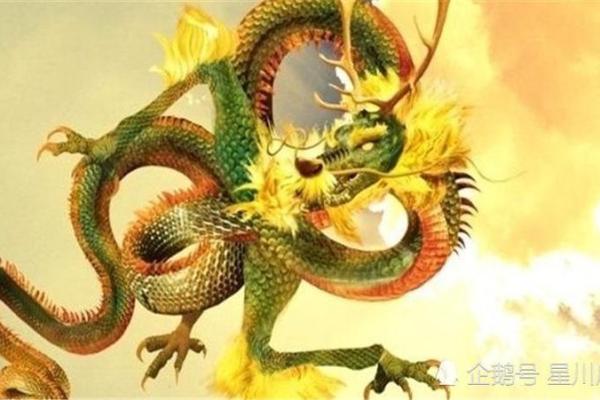87兔与88龙：天生一对还是另有乾坤？