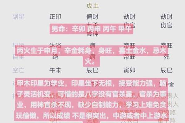 如何利用八字查询工具掌握未来的方向