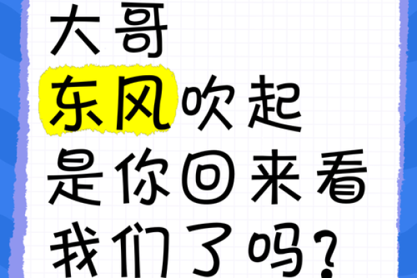 东风吹来，五行之力助你走向辉煌