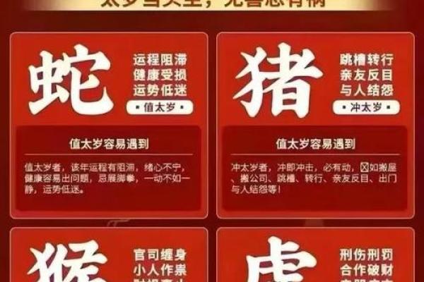 生肖秘语：揭秘你的属相命理配对指南