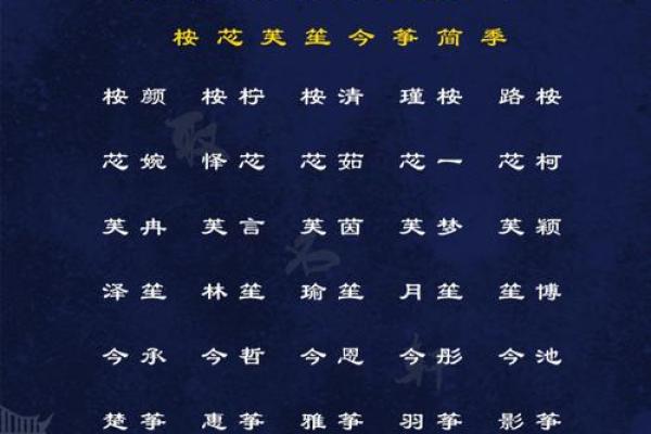 寅时绝色佳人