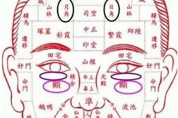 面相揭秘：胳膊长短预示命运，必看