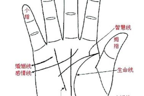 手相揭秘：揭秘那些频繁离婚女性的命运轨迹